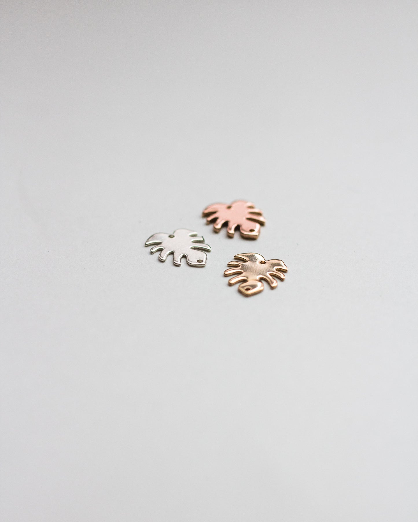 Monstera Leaf Connector, CN2