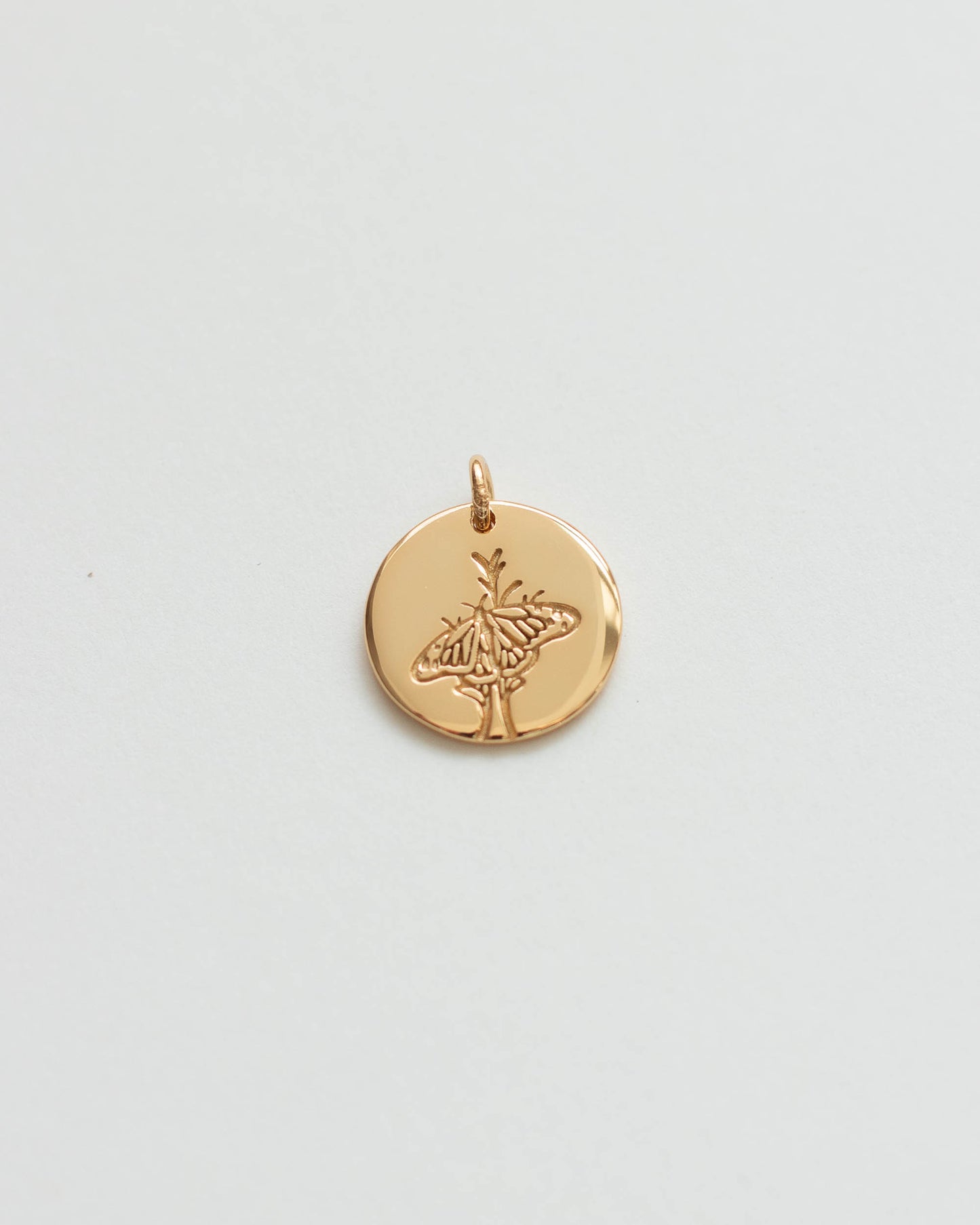 Butterfly Charm, CH14