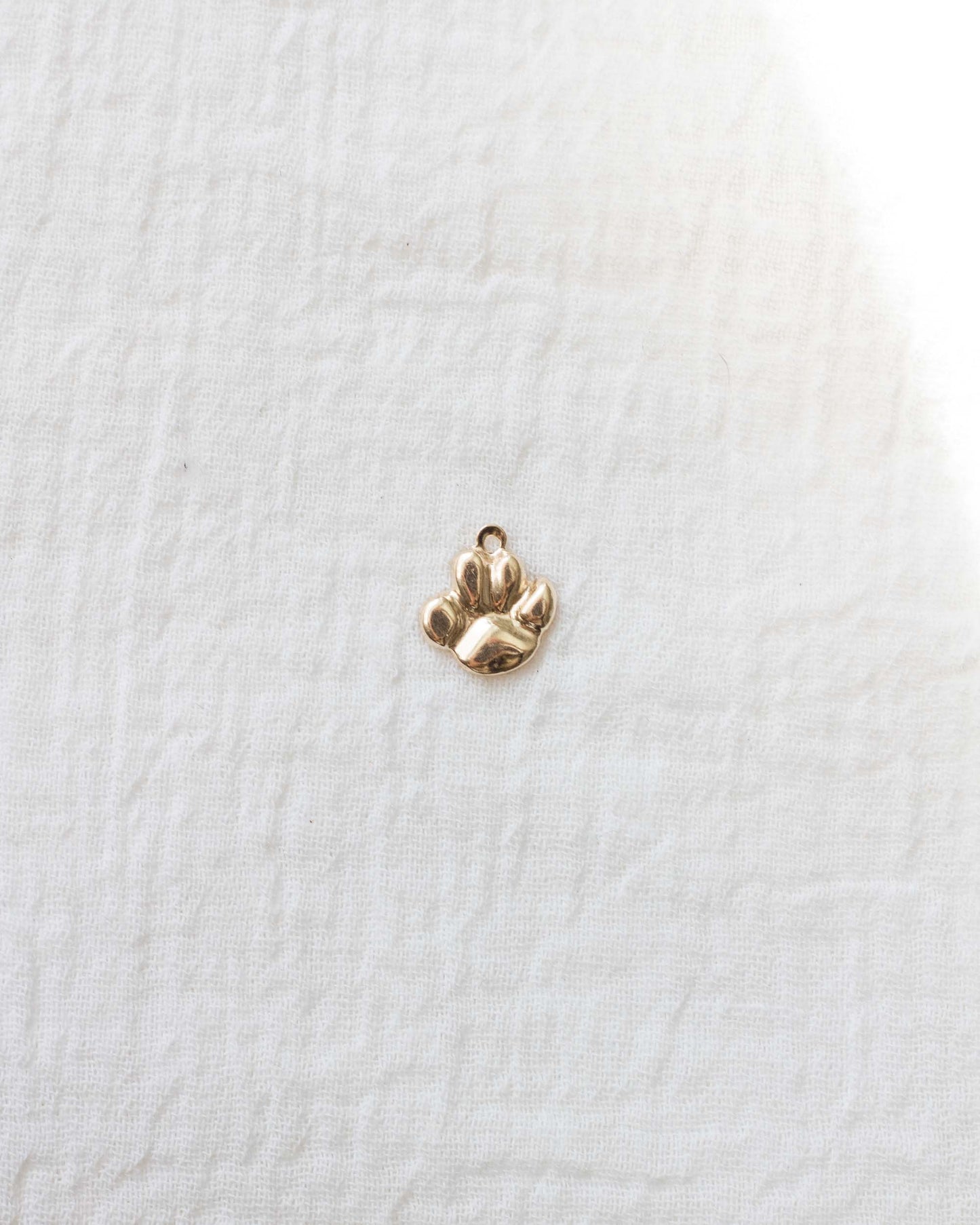 Paw Print Pendant, CH41