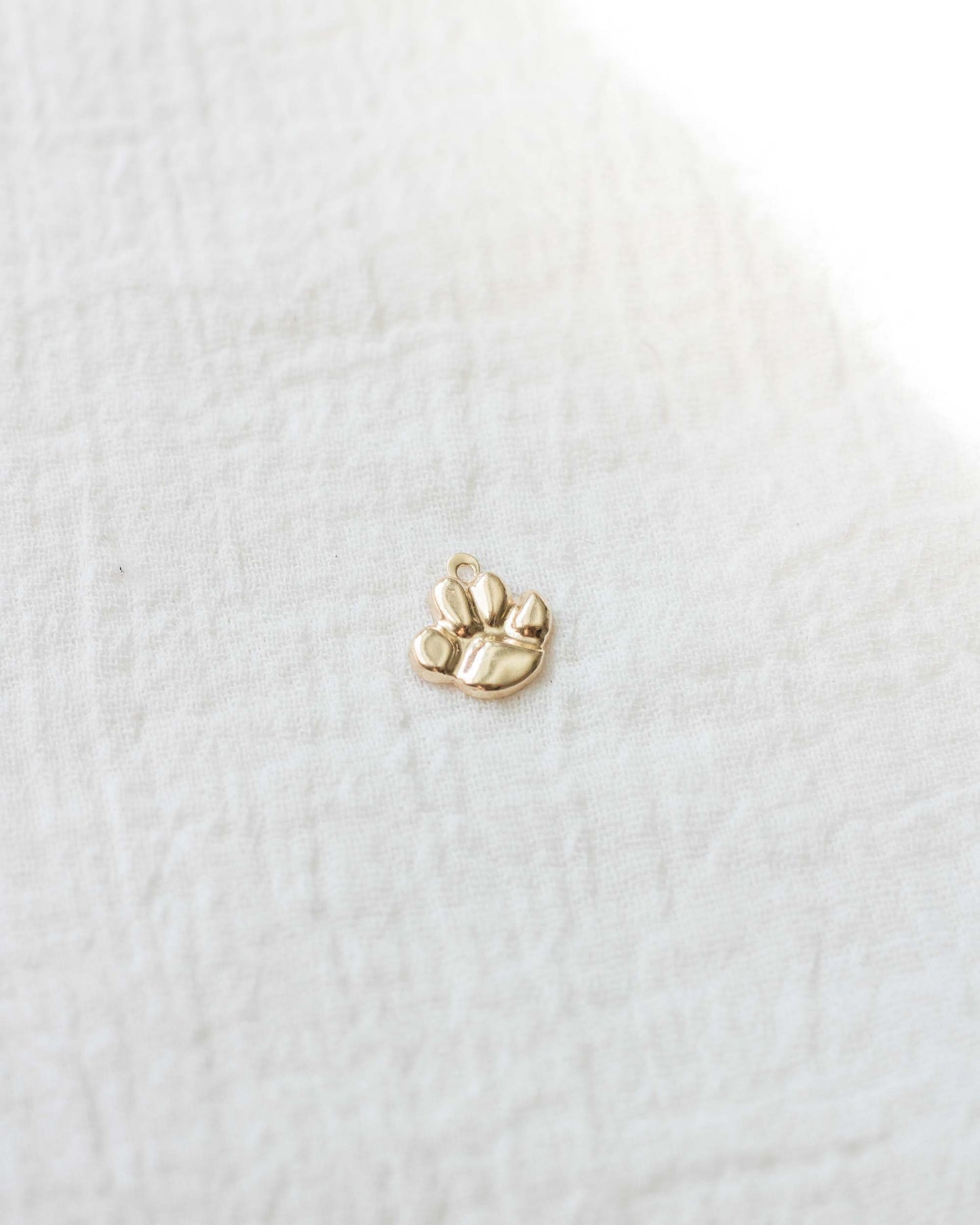 Paw Print Pendant, CH41