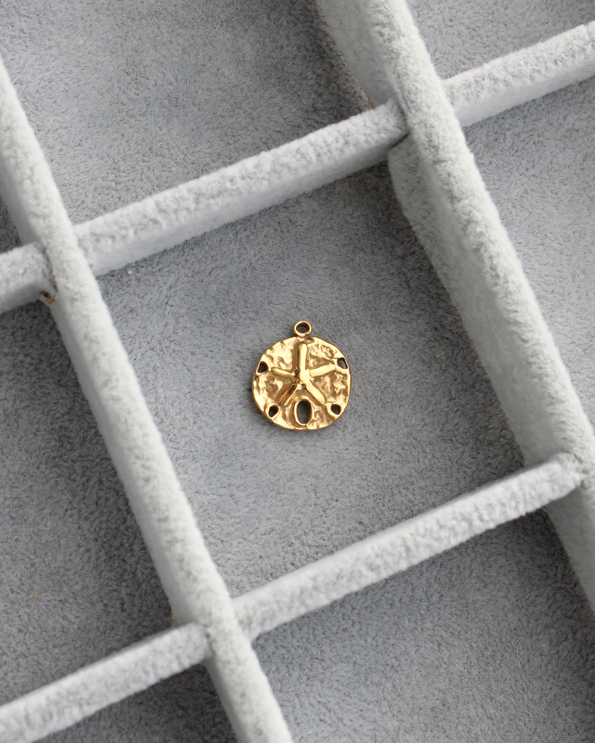 17mm Sand Dollar PVD Charm, CH477
