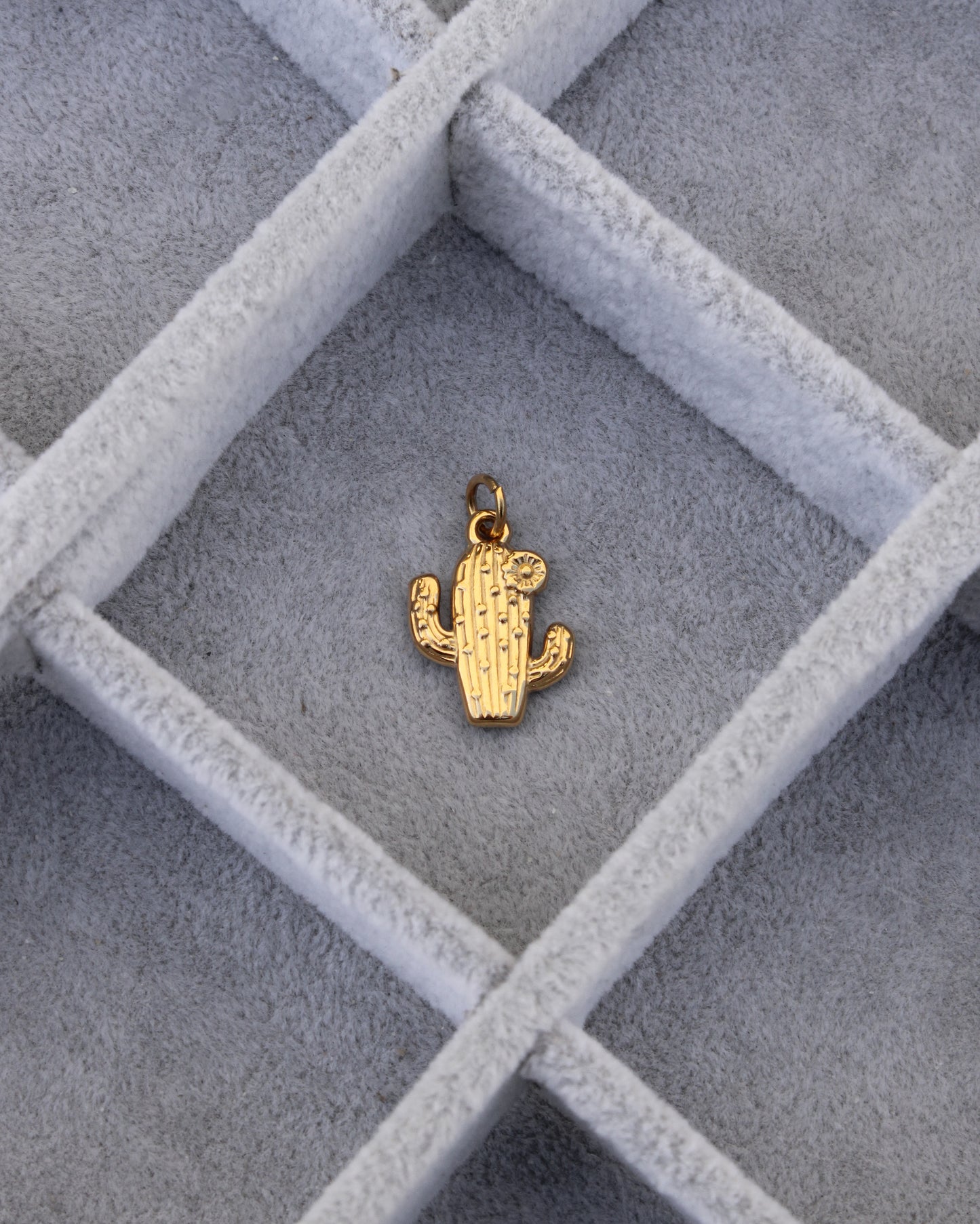 Cactus PVD Charm, CH344