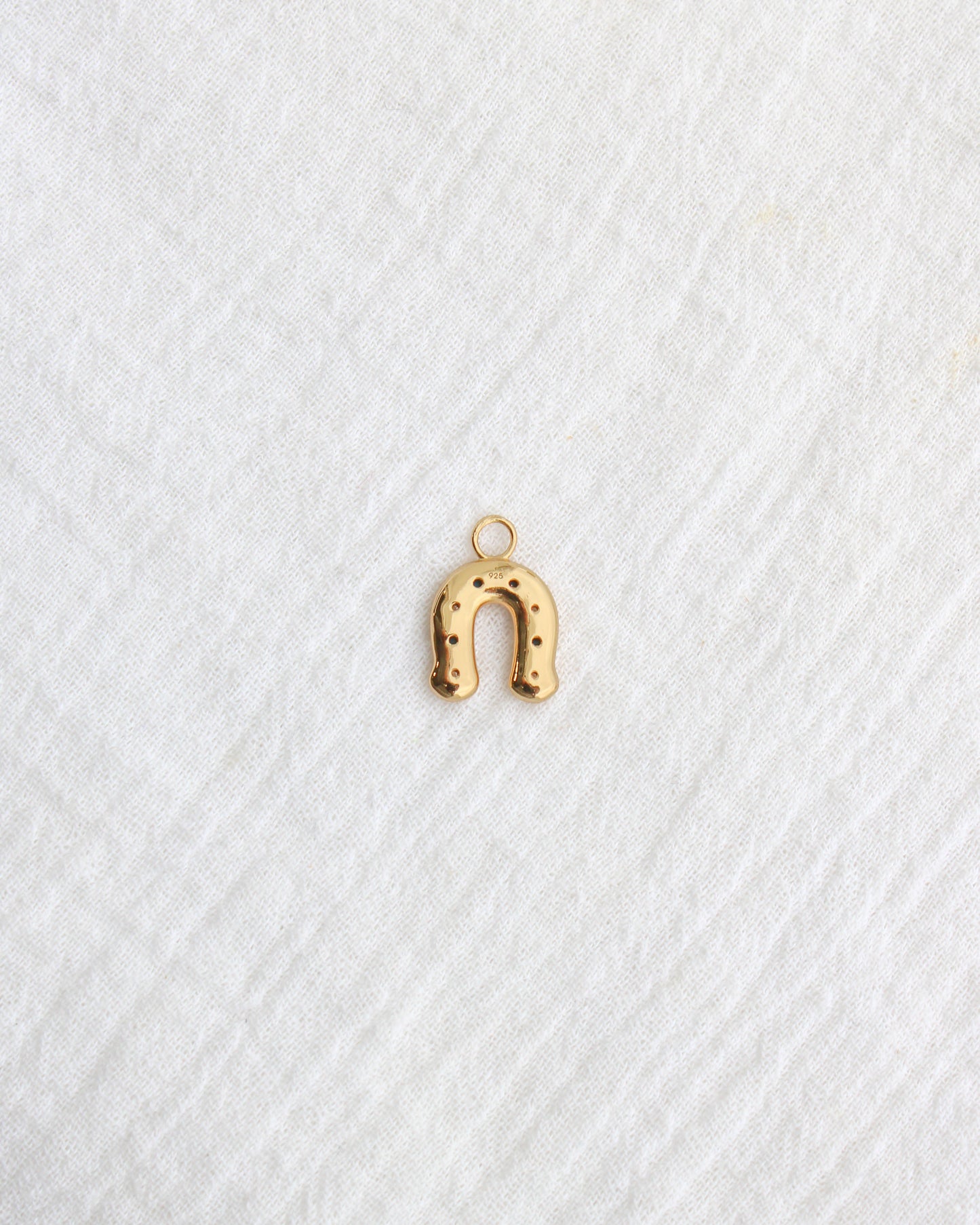 Horseshoe with CZ and Turquoise Charm, CH281