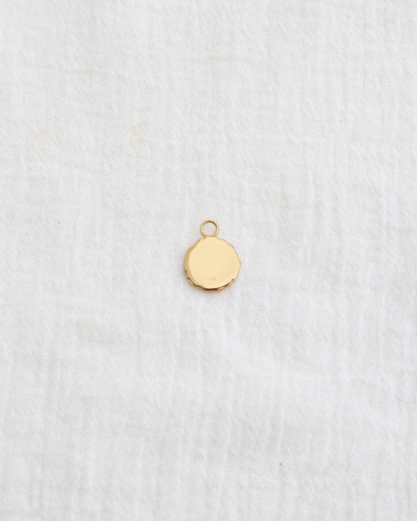Cactus Coin Charm, CH277