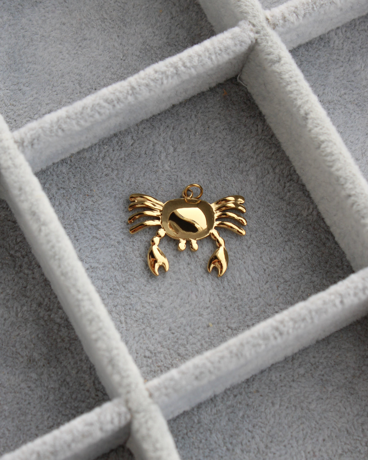 18mm Crab PVD Charm, CH464