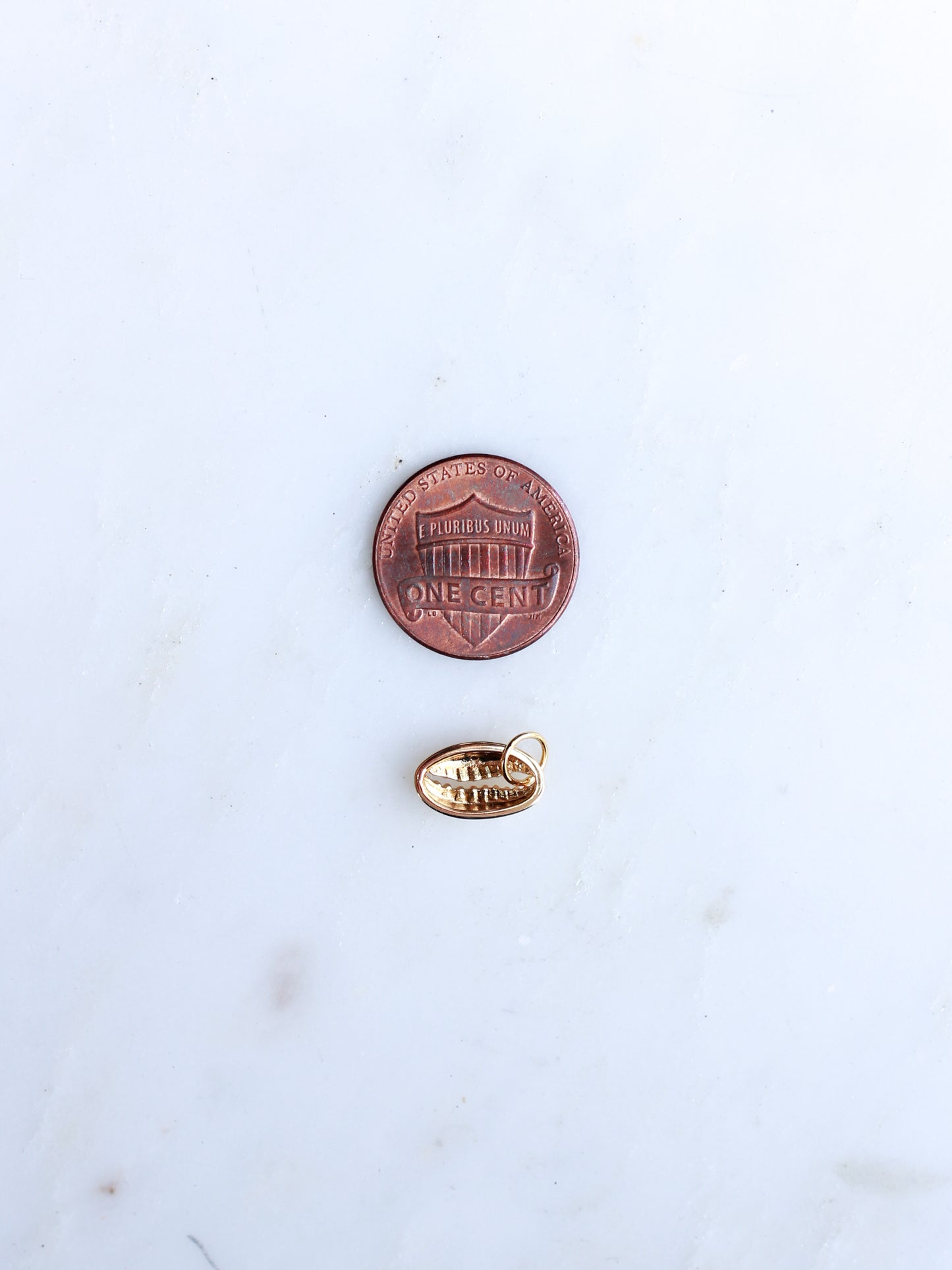 Cowrie Shell Charm, CH116