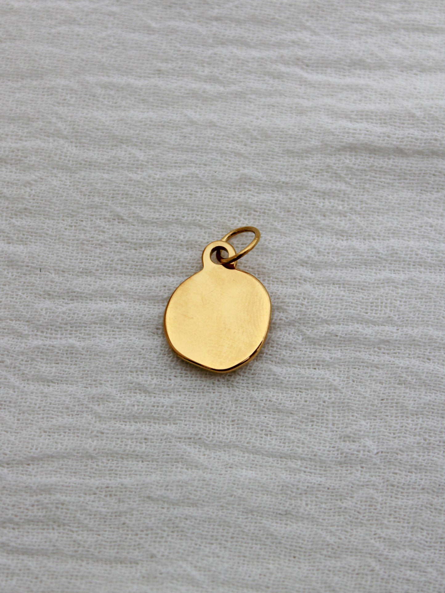 Vintage Coin PVD Charm, CH325