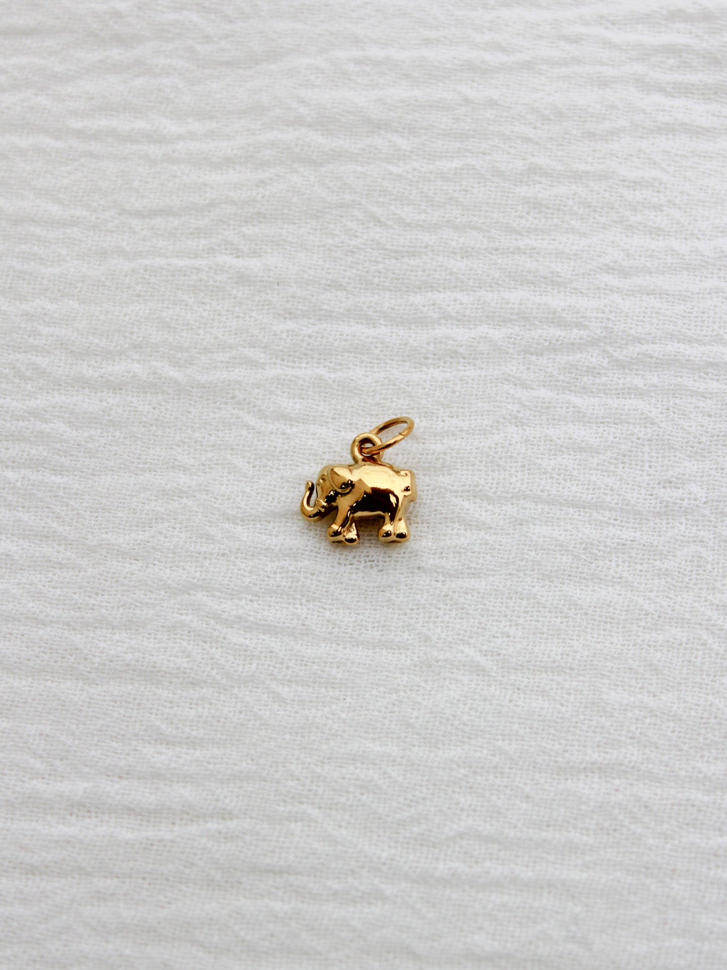 Elephant PVD Charm, CH327