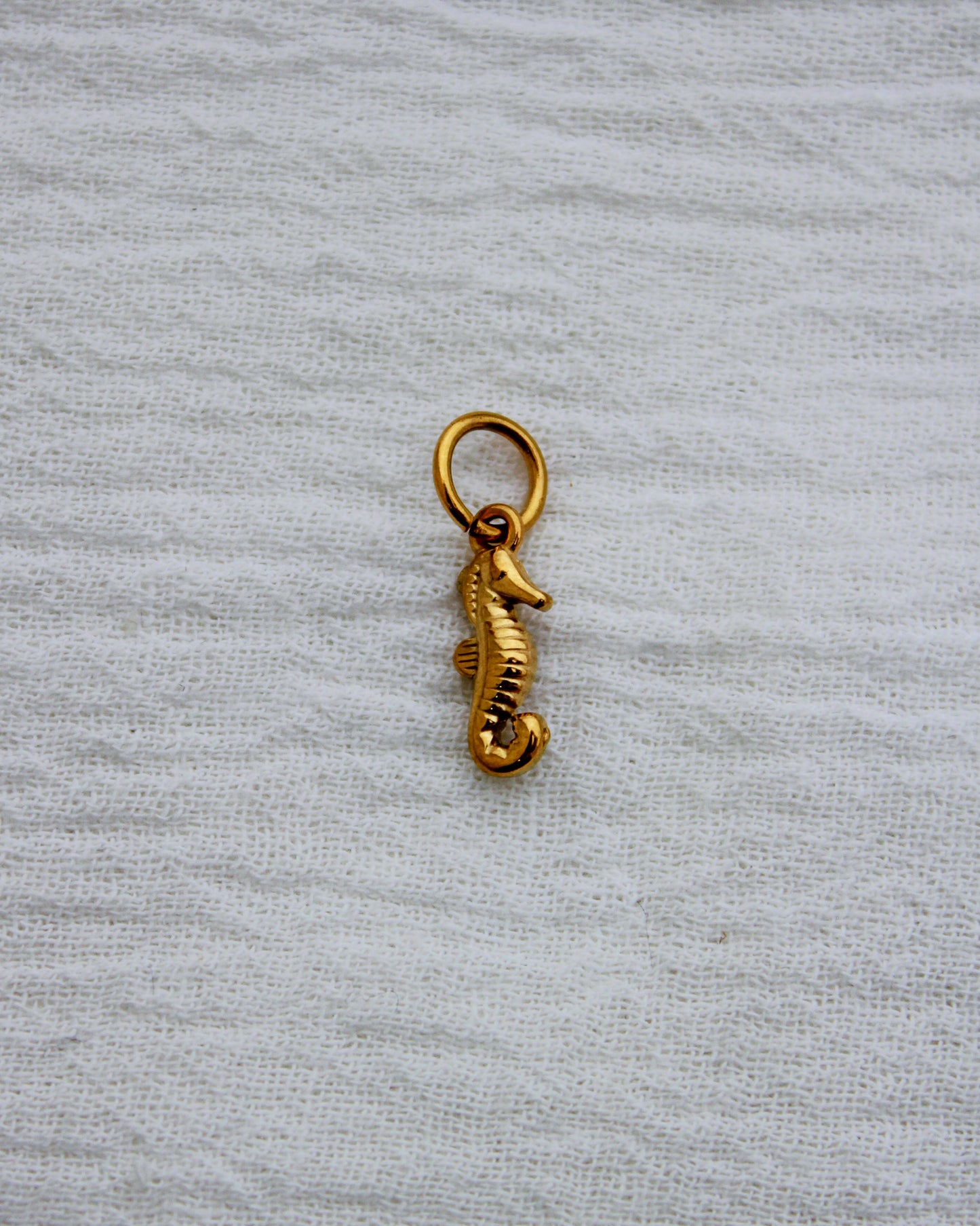 Seahorse PVD Charm, CH334