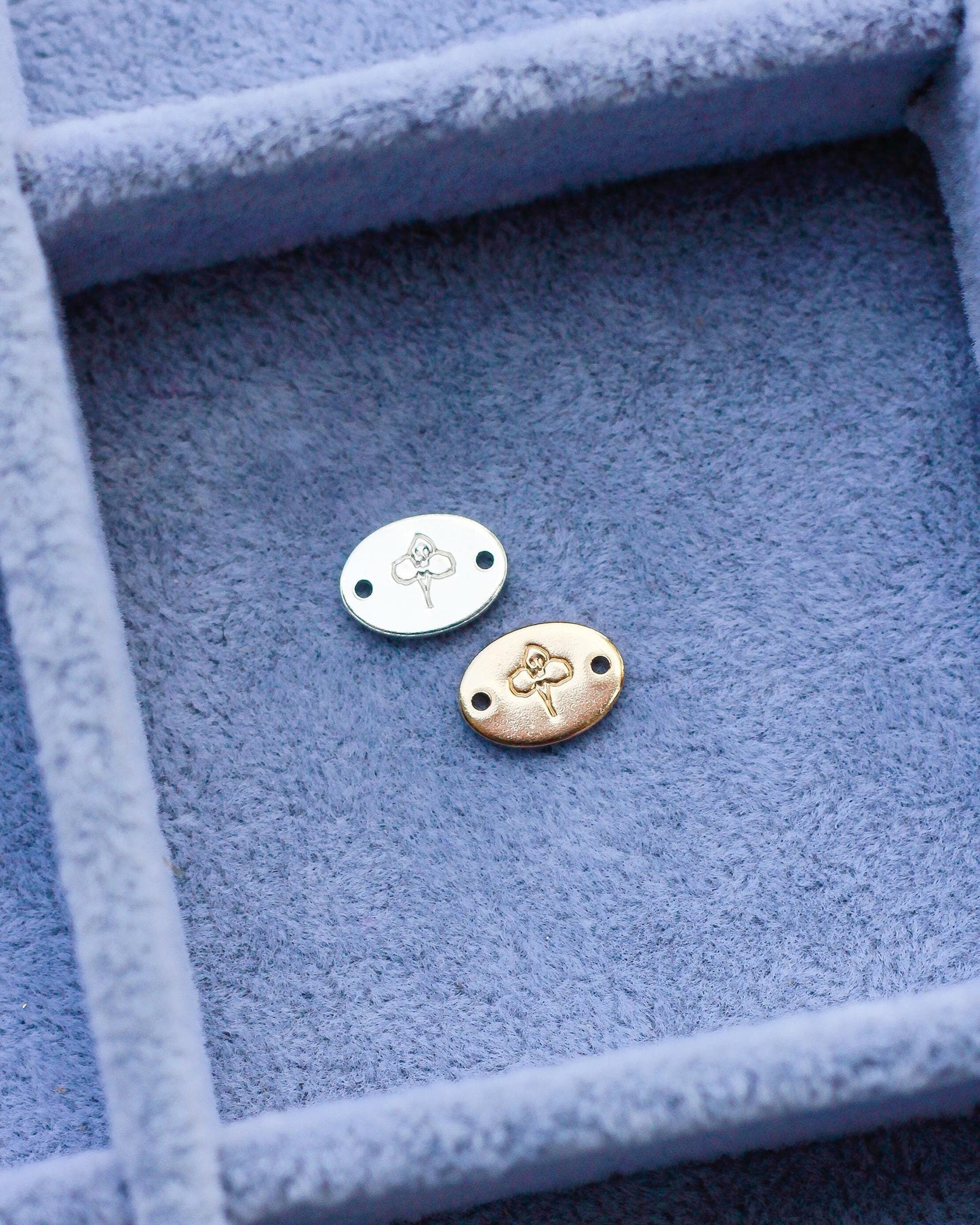 Iris Connector, CN01
