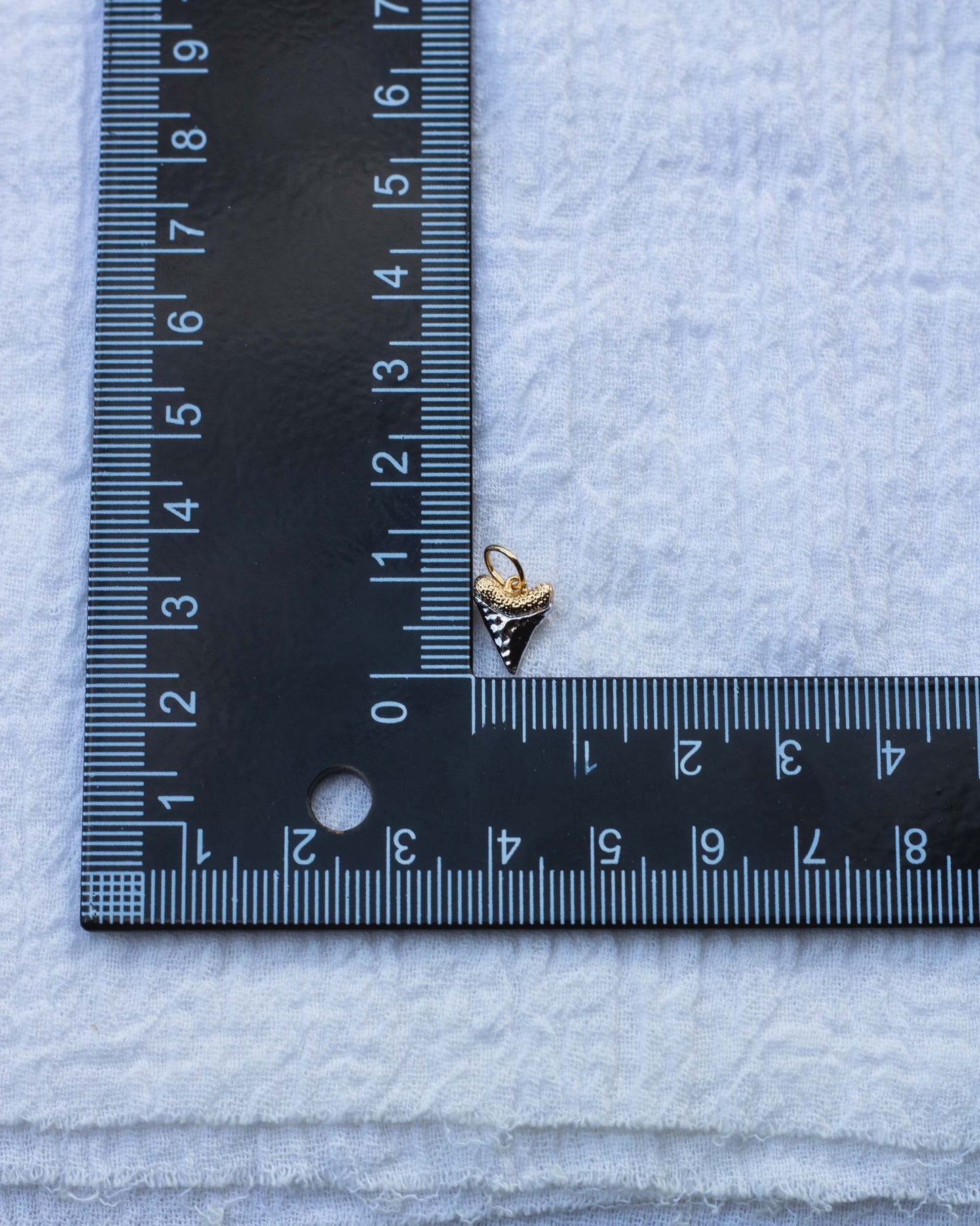 Shark Tooth Charm, CH72
