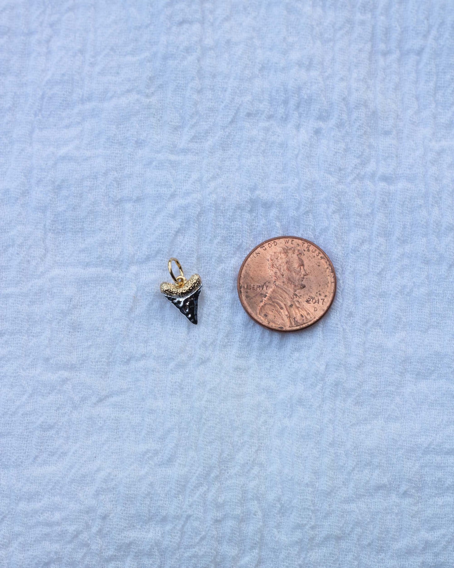 Shark Tooth Charm, CH72