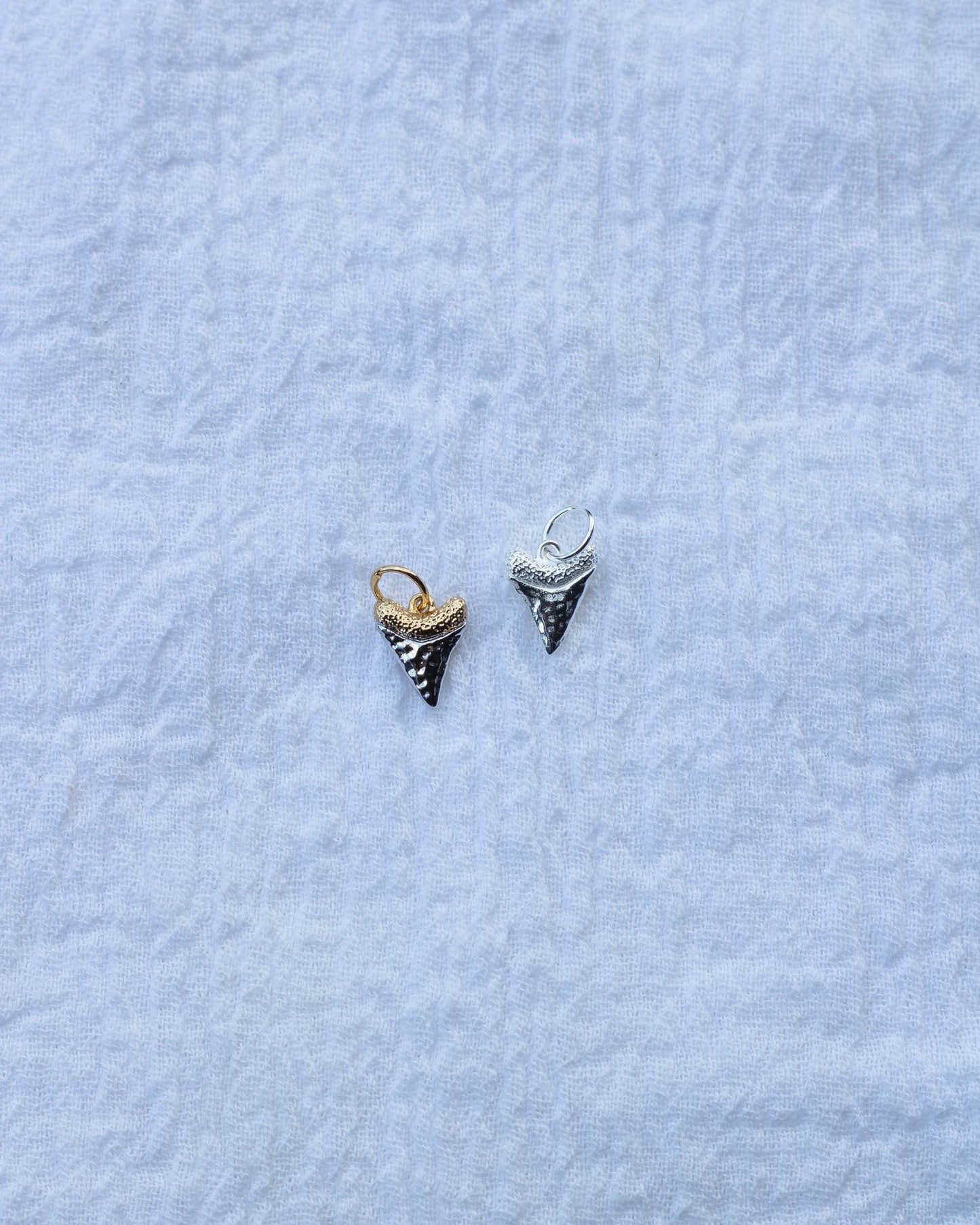 Shark Tooth Charm, CH72