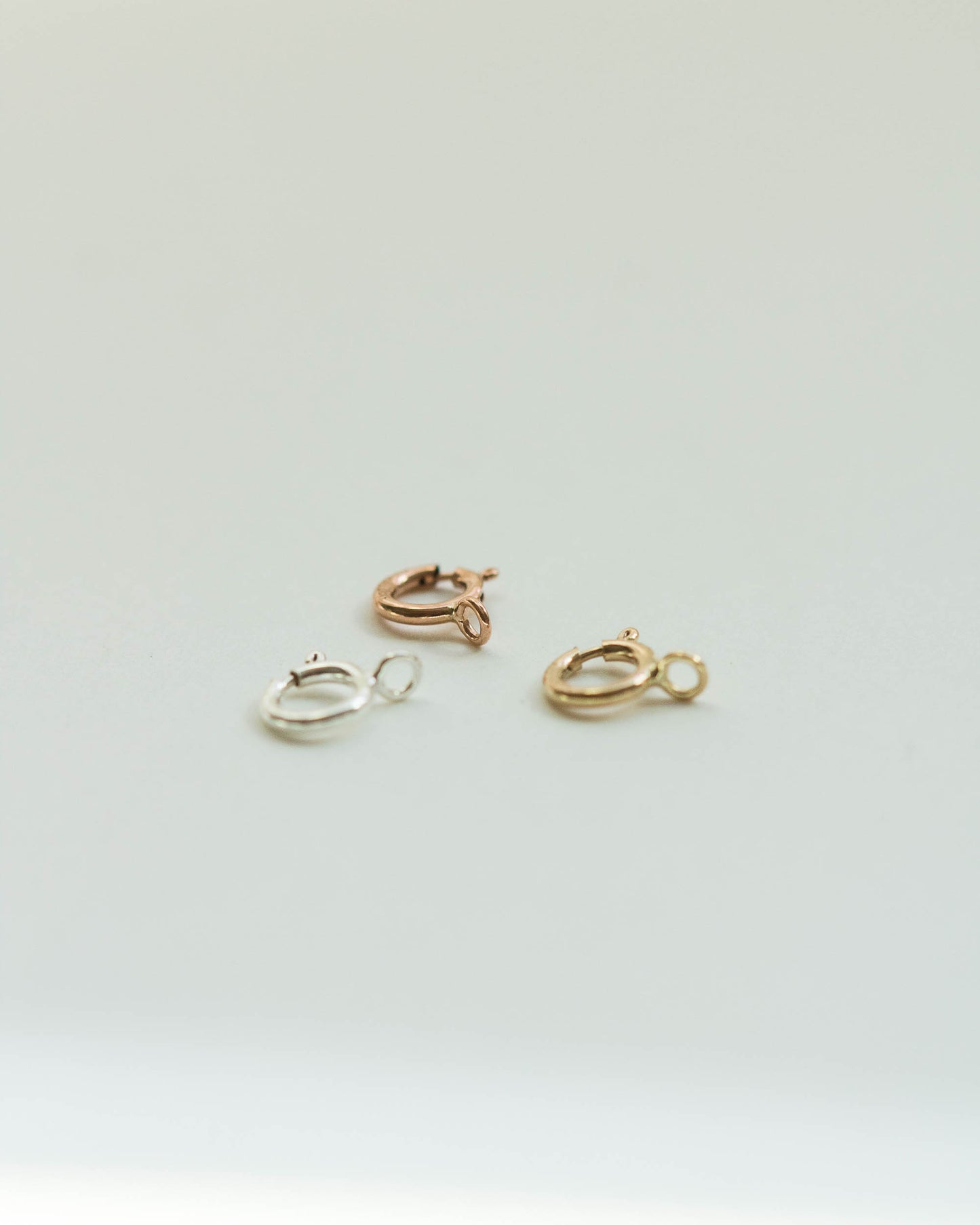 Spring Clasp, F3