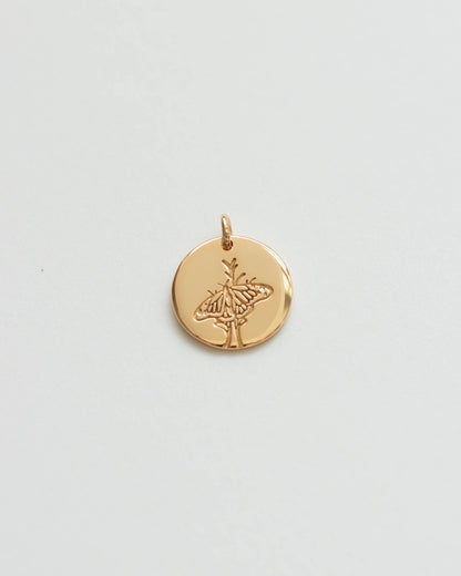 Butterfly Charm, CH14