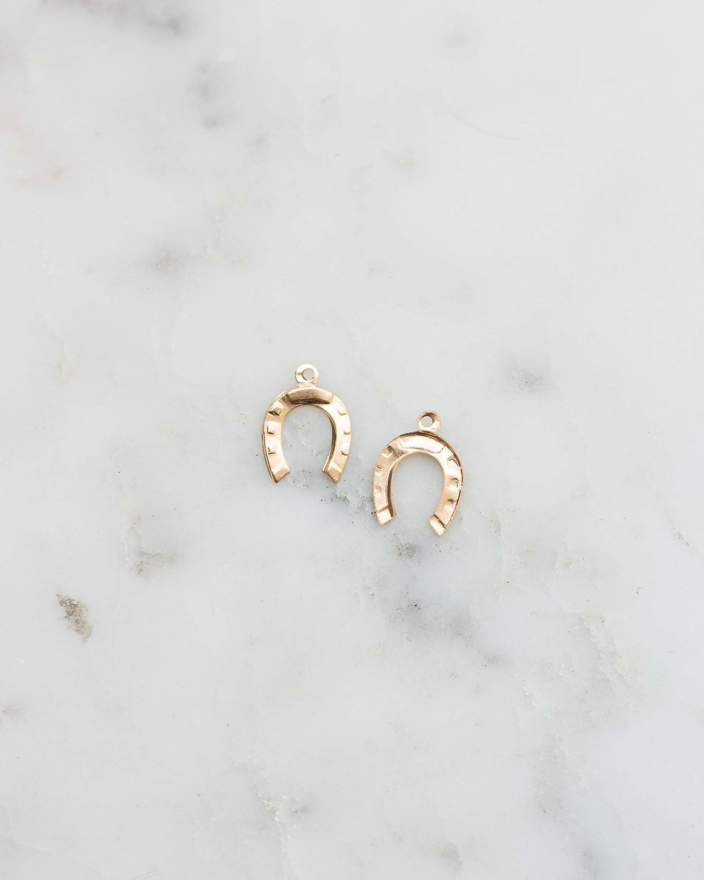 Horseshoe Charm, CH34