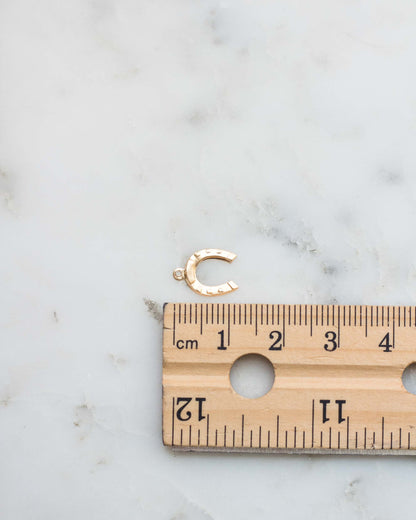 Horseshoe Charm, CH34