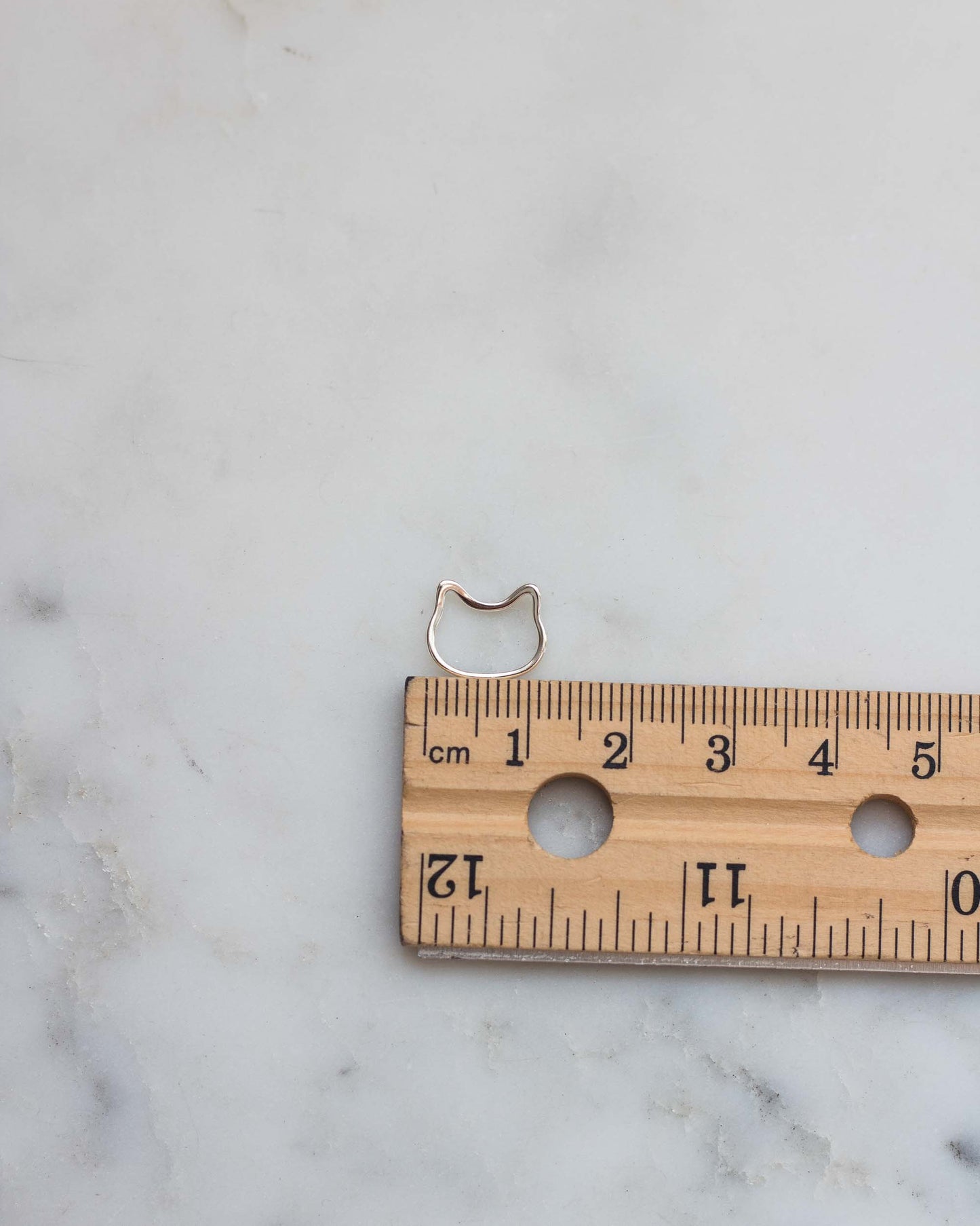 Cat Head Connector, CN56