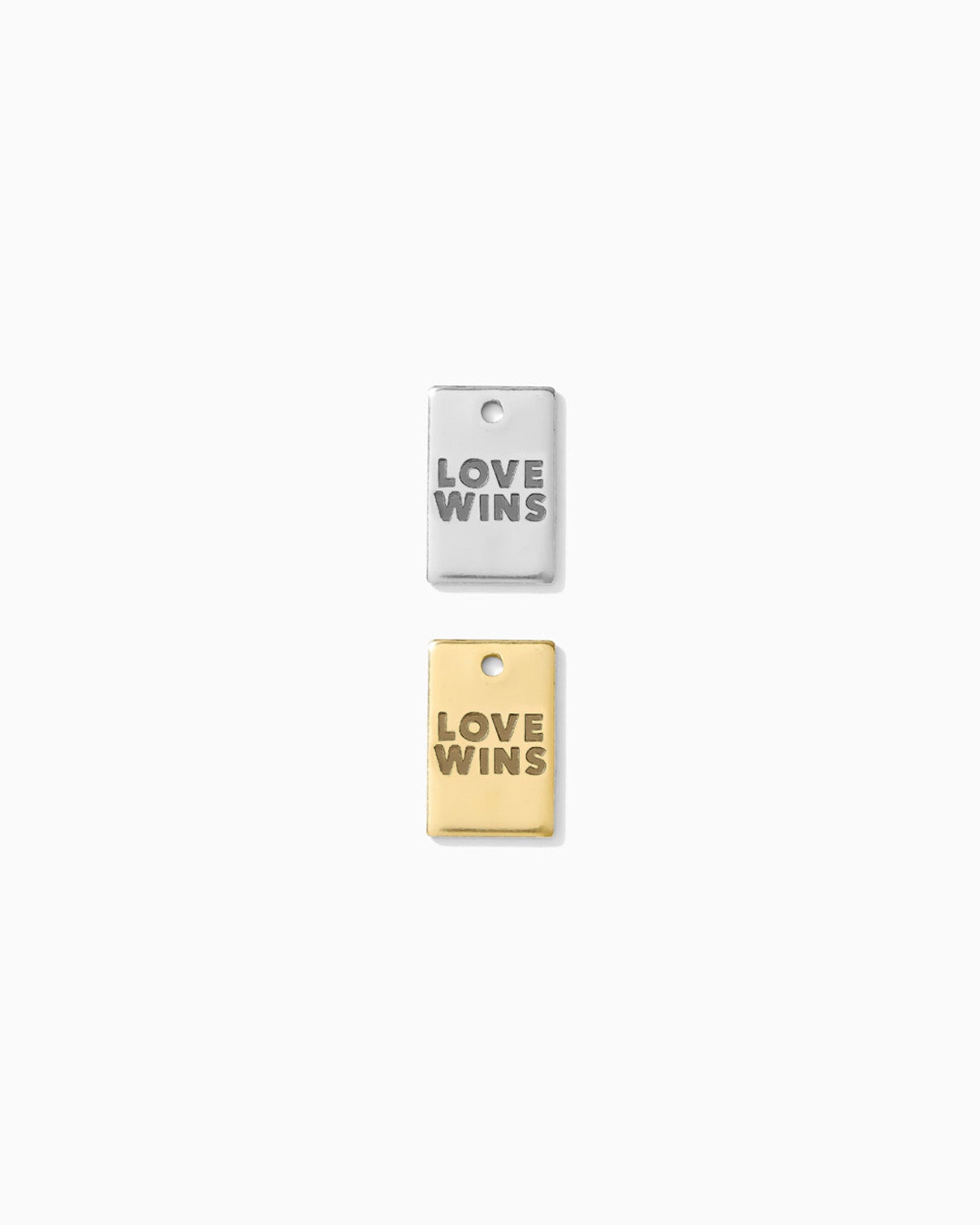 Love Wins Rectangle Charm, CH266