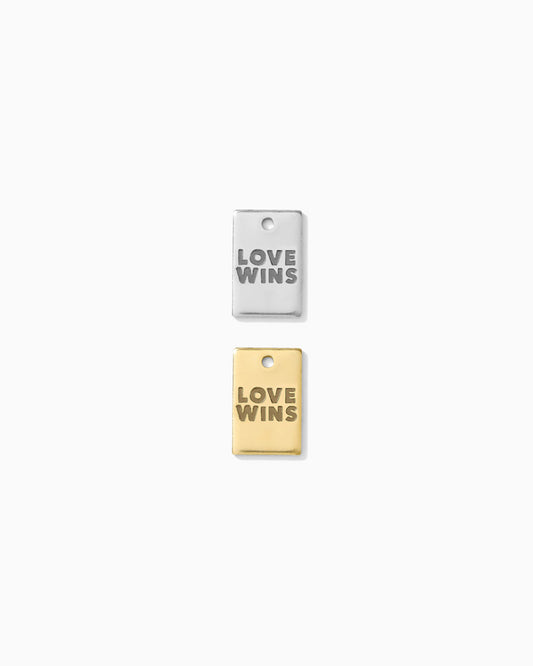 Love Wins Rectangle Charm, CH266