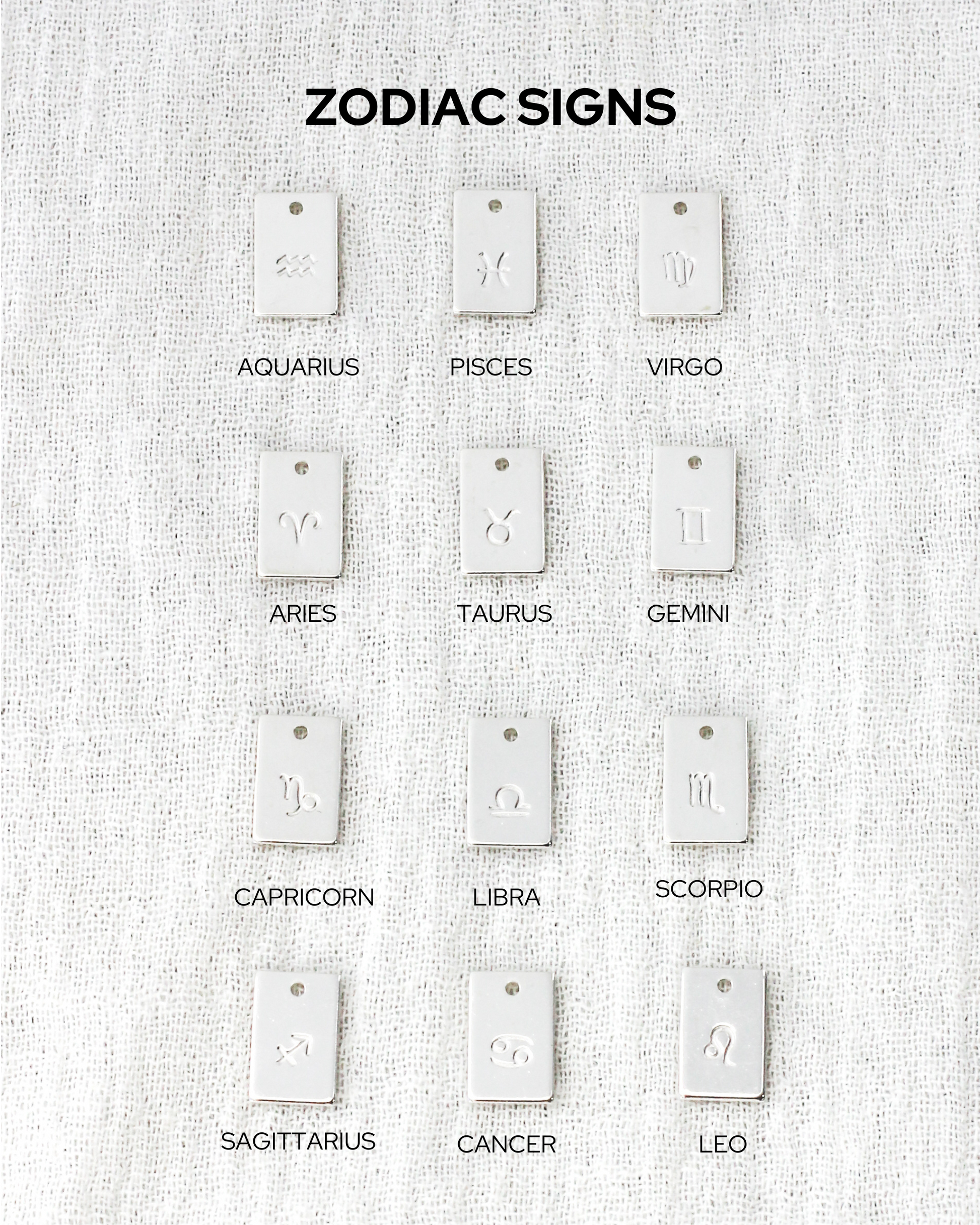 Zodiac Signs Rectangle Charm, CH266