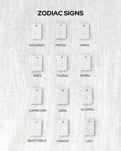 Zodiac Signs Rectangle Charm, CH266