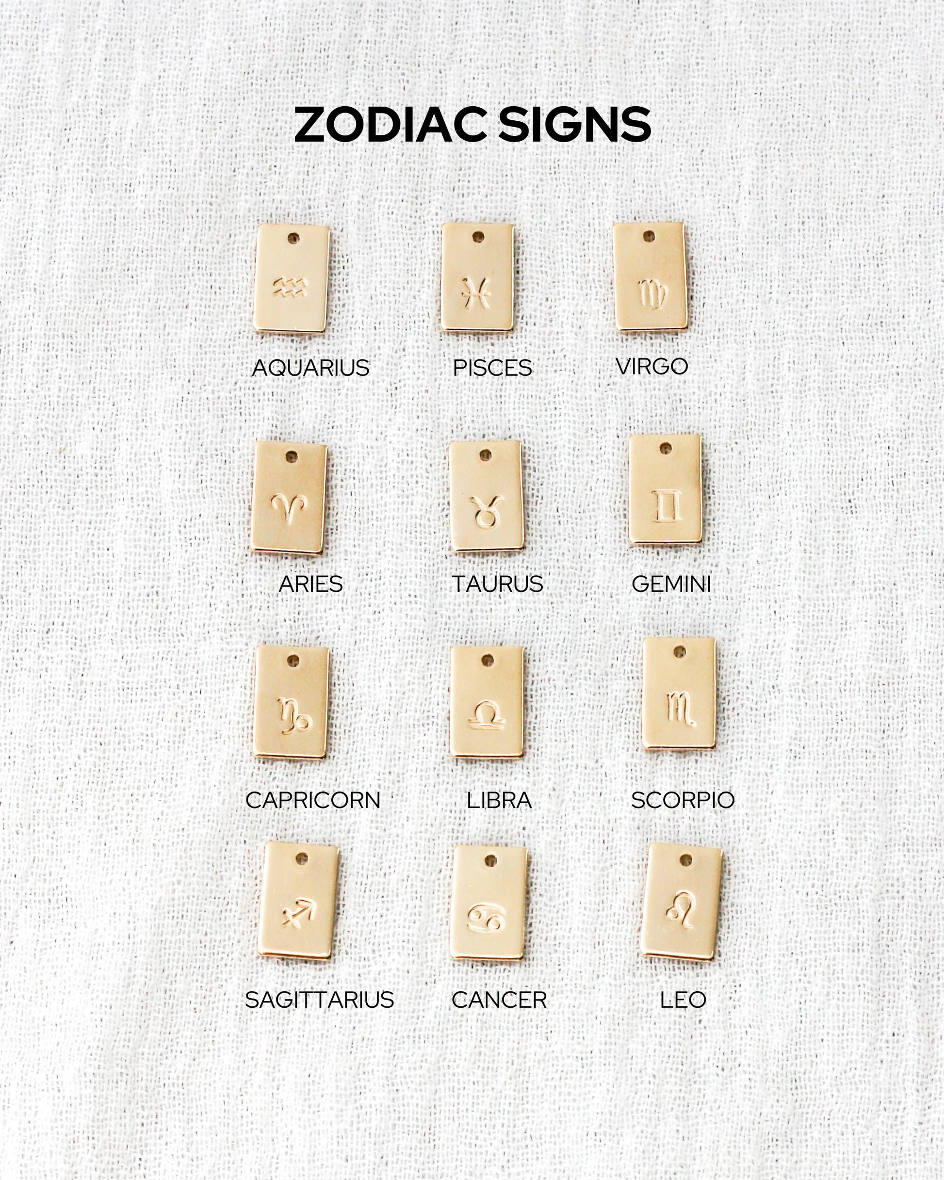 Zodiac Signs Rectangle Charm, CH266