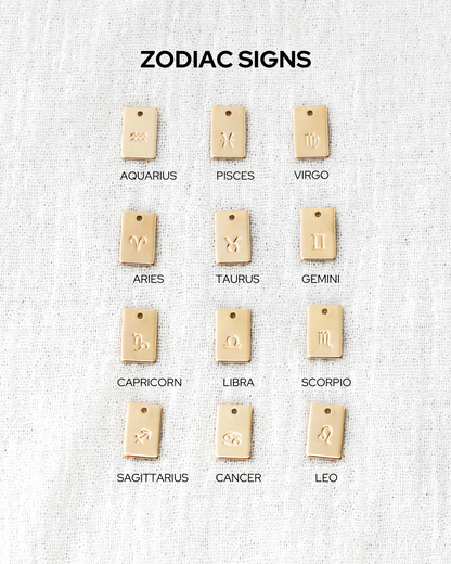 Zodiac Signs Rectangle Charm, CH266