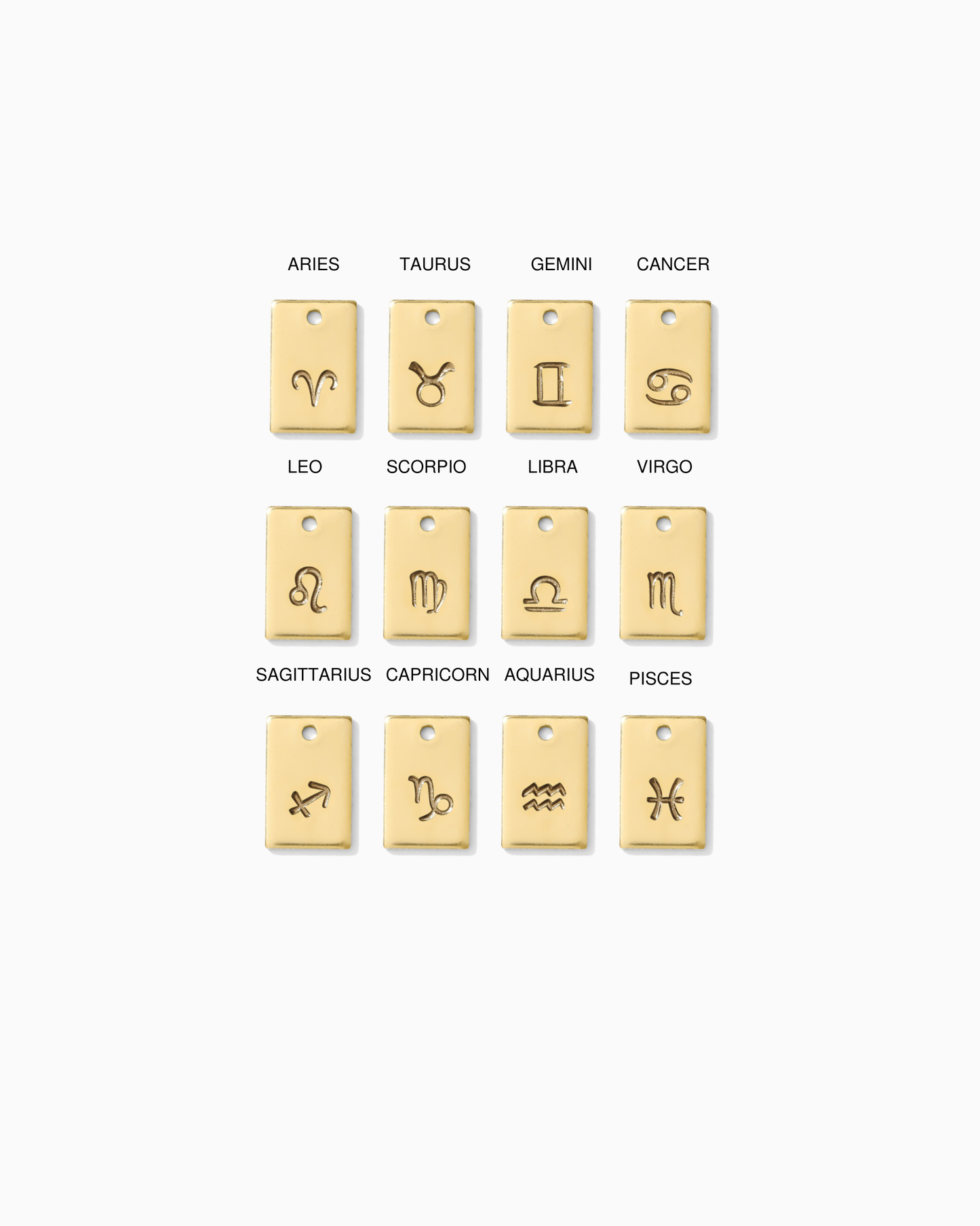 Zodiac Signs Rectangle Charm, CH266