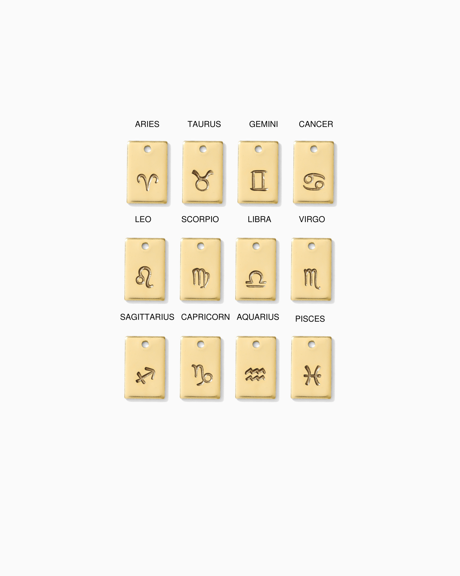 Zodiac Signs Rectangle Charm, CH266