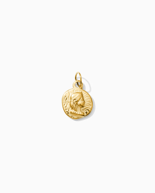 Vintage Coin PVD Charm, CH325