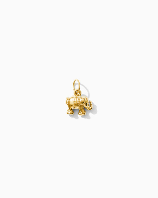 Elephant PVD Charm, CH327