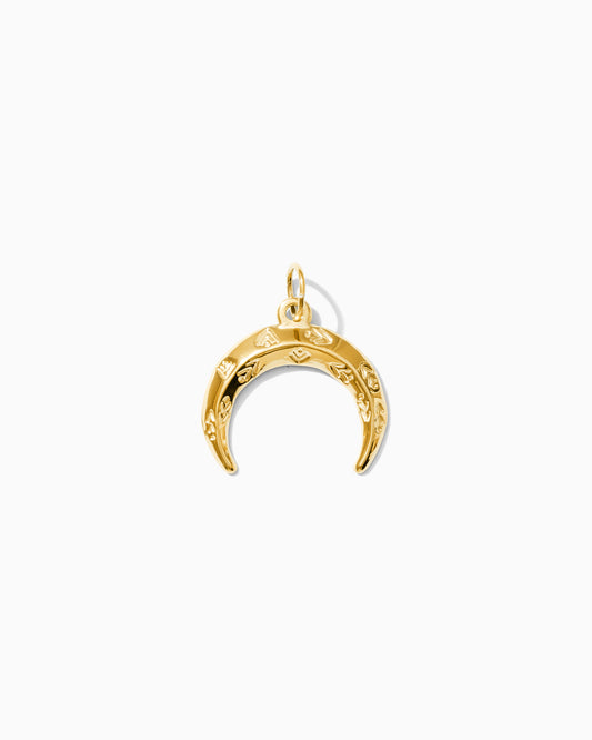 Crescent PVD Charm, CH331