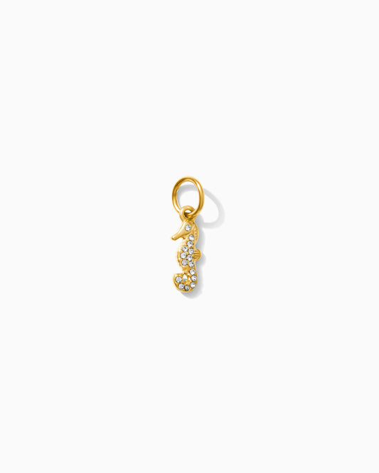 Seahorse PVD Charm, CH334