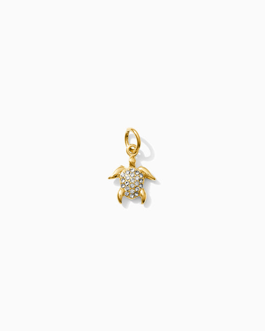 Turtle PVD Charm, CH335