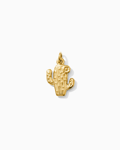 Cactus PVD Charm, CH344