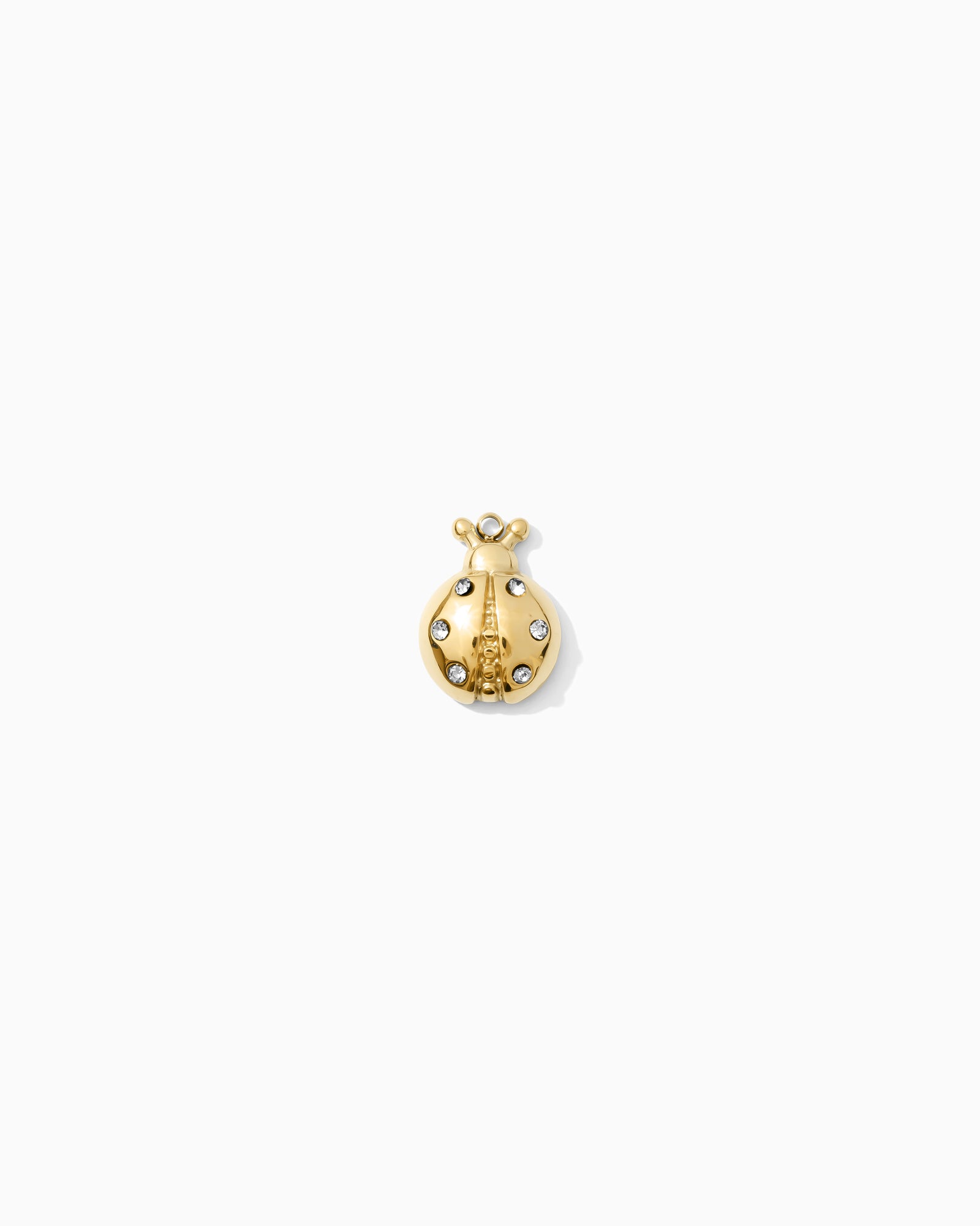 14mm Ladybug w/CZ PVD Charm, CH451