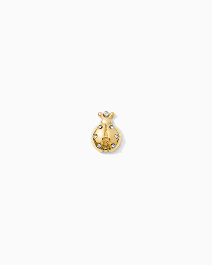 14mm Ladybug w/CZ PVD Charm, CH451
