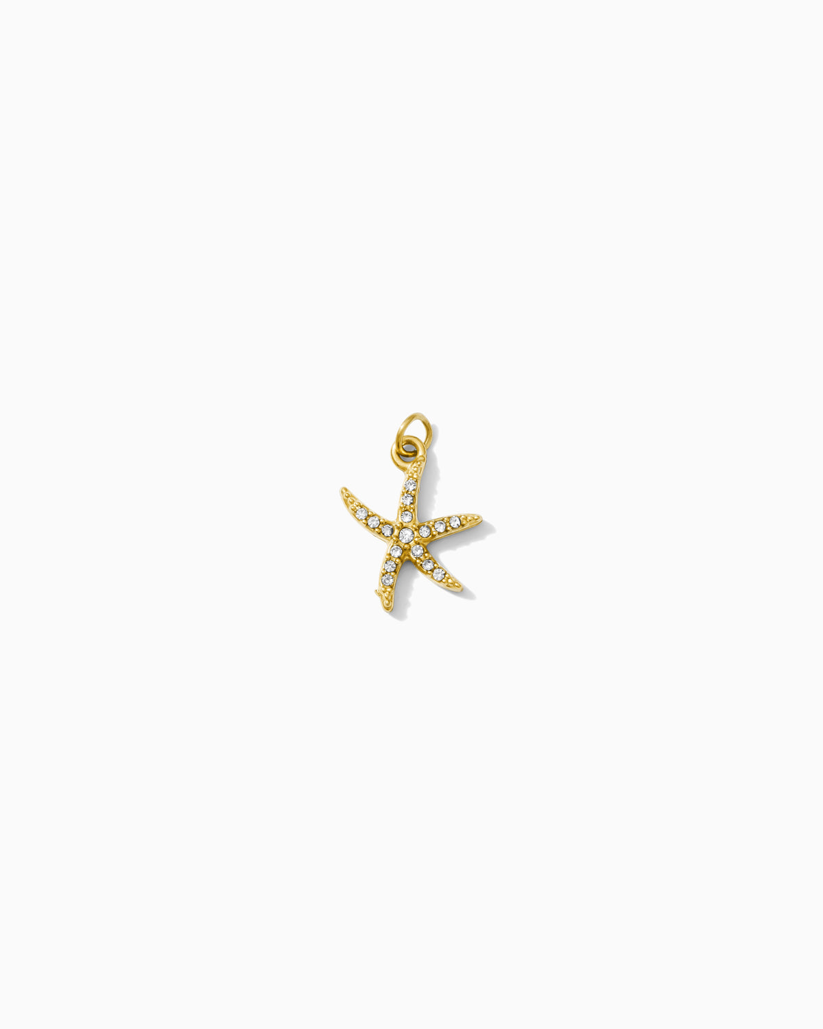 15mm Starfish CZ PVD Charm, CH455