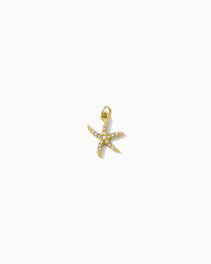 15mm Starfish CZ PVD Charm, CH455