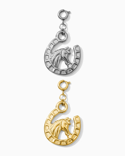 25mm Horseshoe PVD Charm, CH456