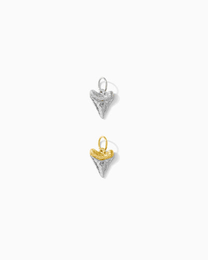Shark Tooth Charm, CH72