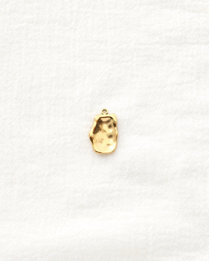 20mm Organic Rectangle PVD Charm, CH482