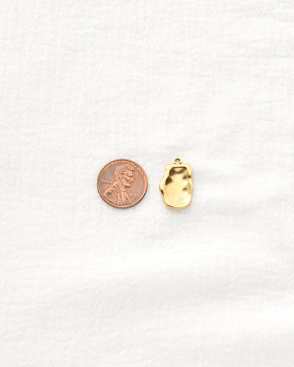 20mm Organic Rectangle PVD Charm, CH482