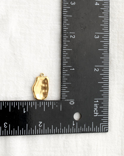 20mm Organic Rectangle PVD Charm, CH482