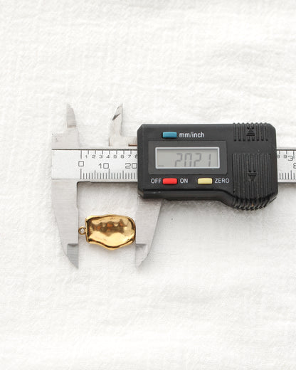 20mm Organic Rectangle PVD Charm, CH482