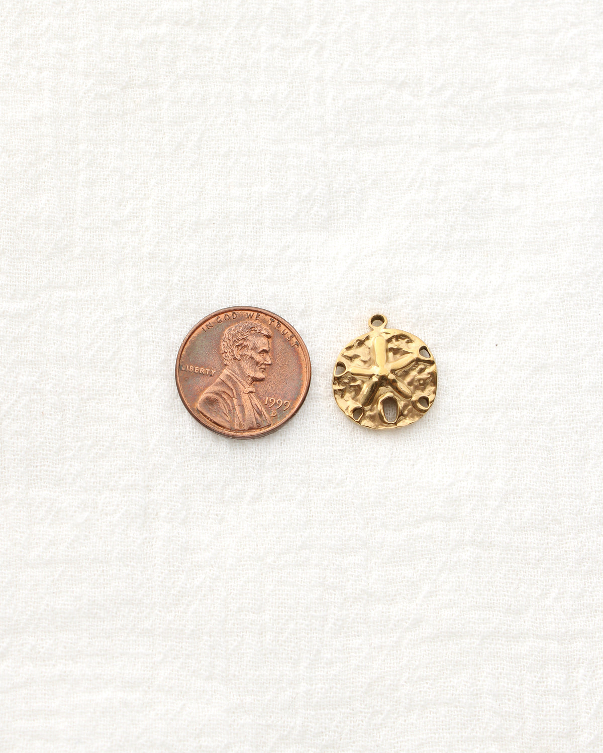 17mm Sand Dollar PVD Charm, CH477