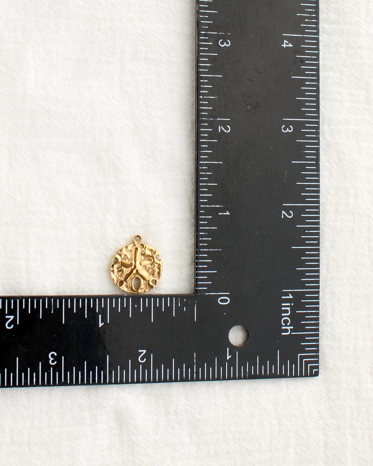 17mm Sand Dollar PVD Charm, CH477