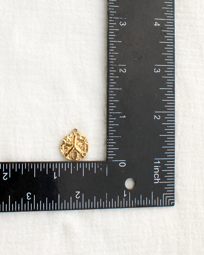 17mm Sand Dollar PVD Charm, CH477