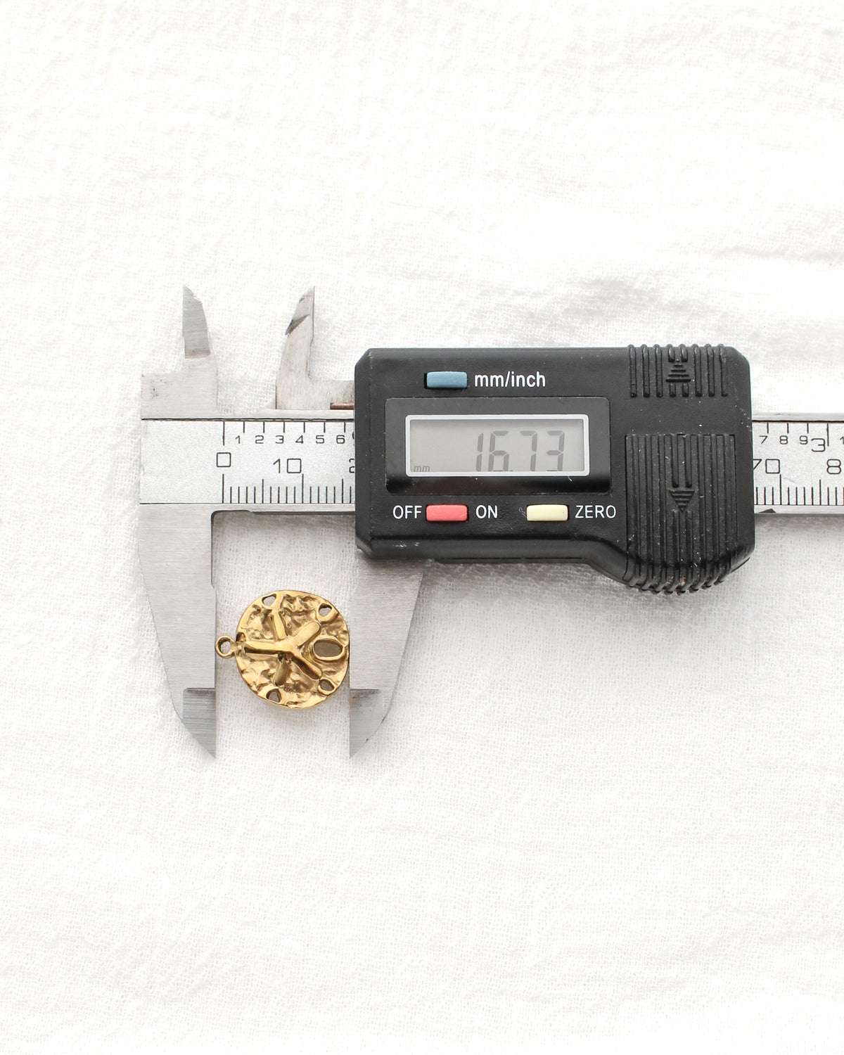 17mm Sand Dollar PVD Charm, CH477